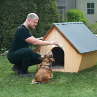 Custom Dog House Assembly