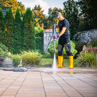 Yard Clean-Up Services