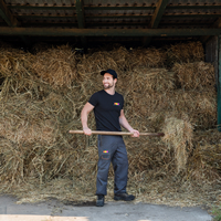 Barn Cleanouts